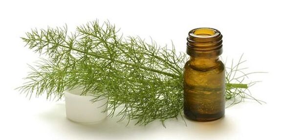 fennel oil to enlarge breasts